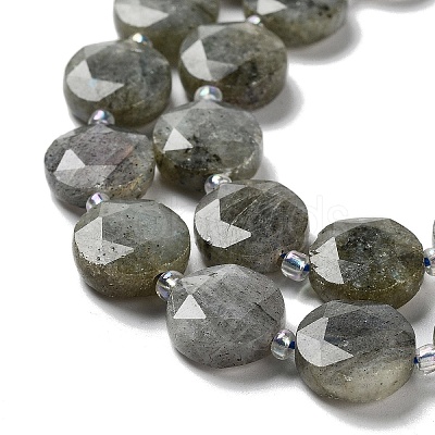 Natural Labradorite Beads Strands G-NH0004-001-1