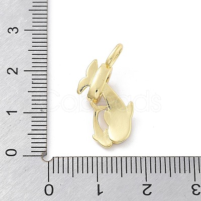 Brass Micro Pave Cubic Zirconia Pendants KK-Z098-07G-01-1