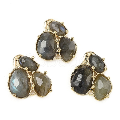 Natural Labradorite Links connectors G-E526-28F-1