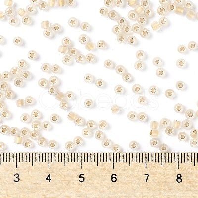 TOHO Round Seed Beads SEED-XTR08-0989FM-1