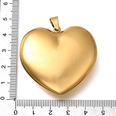 304 Stainless Steel Pendants STAS-H200-01G-05-1