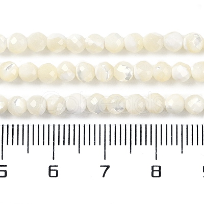 Natural Shell Beads Strands SSHEL-E571-38B-4mm-1