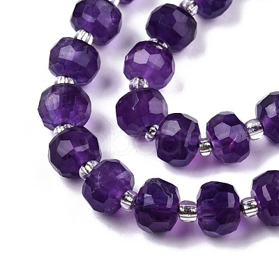Natural Amethyst Beads Strands G-N327-08C-1