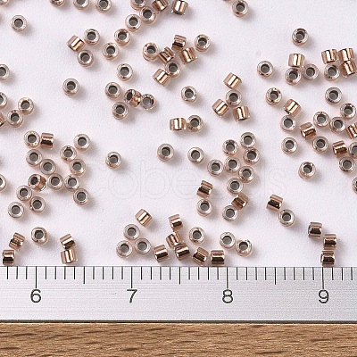 MIYUKI Delica Beads SEED-JP0008-DB0037-1