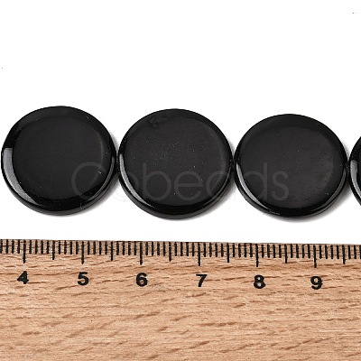 Natural Freshwater Shell Beads Strands SHEL-A006-01B-1