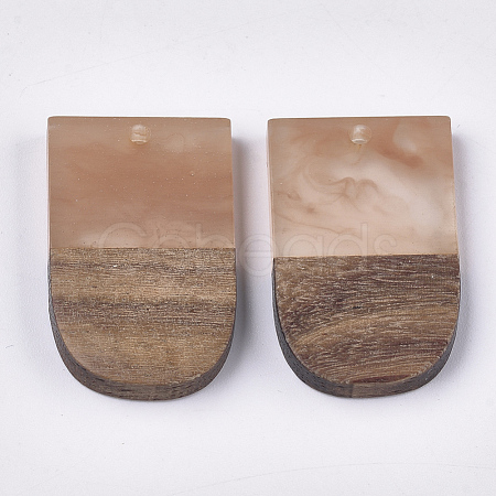 Resin & Walnut Wood Pendants RESI-S358-34B-1