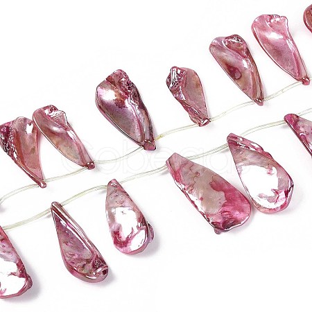 AB Color Plated Dyed Natural Freshwater Shell Beads Strands X-SHEL-T020-55A-1