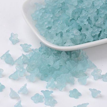 Transparent Acrylic Beads X-PL554-11-1