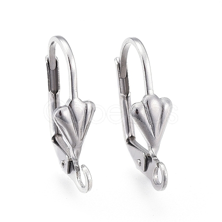 Tarnish Resistant 304 Stainless Steel Leverback Earring Findings LS-STAS-K198-02P-1