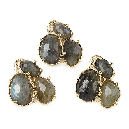 Natural Labradorite Links connectors G-E526-28F-1
