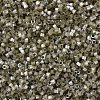 MIYUKI Delica Beads SEED-MY11-DB1876-3
