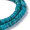 Natural Freshwater Shell Beads Strands BSHE-I016-04C-3