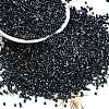 Electroplate Glass Seed Beads SEED-H003-10K-1