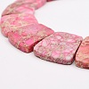 Natural Imperial Jasper Graduated Beads Strands G-P296-A04-2