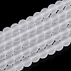 Transparent Glass Beads Strands GLAA-T032-T4mm-MD13-1