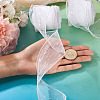 Polyester Deco Mesh Ribbons OCOR-TAC0024-004E-7