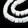 Natural Trochid Shell/Trochus Shell Beads Strands SSHEL-S266-008-3