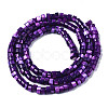Natural Trochus Shell Beads Strands SHEL-S278-027A-2
