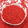 Baking Paint Glass Seed Beads SEED-S042-05A-34-2