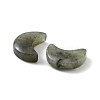 Natural Labradorite Beads G-NH0001-01D-2