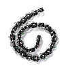 Handmade Lampwork Beads Strands LAMP-D015-08D-2