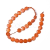 Spray Painted Natural Freshwater Shell Beads Strands SHEL-C003-05-3