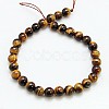 Natural Tiger Eye Beads Strands G-C076-14mm-1B-2