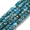 Natural Apatite Beads Strands G-P457-B01-14-2