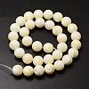 Natural Sea Shell Beads Strands SSHEL-K013-12mm-A-2