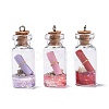 Glass Wishing Bottle Pendant Decorations X-GLAA-S181-02-2