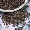 MIYUKI Delica Beads SEED-X0054-DB1843F-1