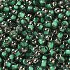 Transparent Inside Colours Glass Seed Beads SEED-H002-A-C221-3