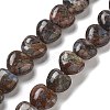 Natural Glaucophane Beads Strands G-R190-10mm-36-1