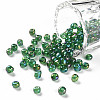 6/0 Round Glass Seed Beads SEED-US0003-4mm-167B-1