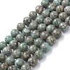 Natural Maifanite/Maifan Stone Beads Strands X-G-P451-01A-D-1