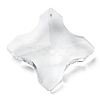 Transparent Glass Pendants GLAA-R223-02-1