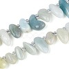 Natural Flower Amazonite Beads Strands G-Z091-A36-4