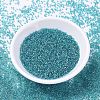 MIYUKI Delica Beads SEED-MY11-DB1248-2