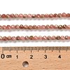 Natural Argentina Rhodonite Beads Strands G-B107-A04-04-5