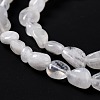 Natural Rainbow Moonstone Beads Strands G-G018-48-3
