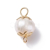 Natural Cultured Freshwater Pearl Beads Links Connectors PALLOY-JF01260-3