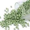TOHO 8/0 Round Beads X-SEED-TR08-0560-1