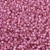 MIYUKI Round Rocailles Beads X-SEED-G007-RR0556-3