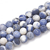 Natural Sodalite Beads Strands X-G-T106-213-1