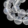 Natural Rainbow Moonstone Round Bead Strands G-M263-C-02A-5