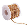 10m Iron Rolo Chains CH-CA0001-05LG-1