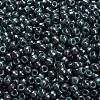 TOHO 6/0 Round Beads SEED-XTR06-1207-3