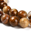 Natural Wood Lace Stone Beads Strands G-B128-A04-04-4