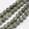 Natural Labradorite Frosted Bead Strands G-O155-04B-4mm-1