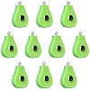 10Pcs Resin Pendants RESI-YW0004-09-1